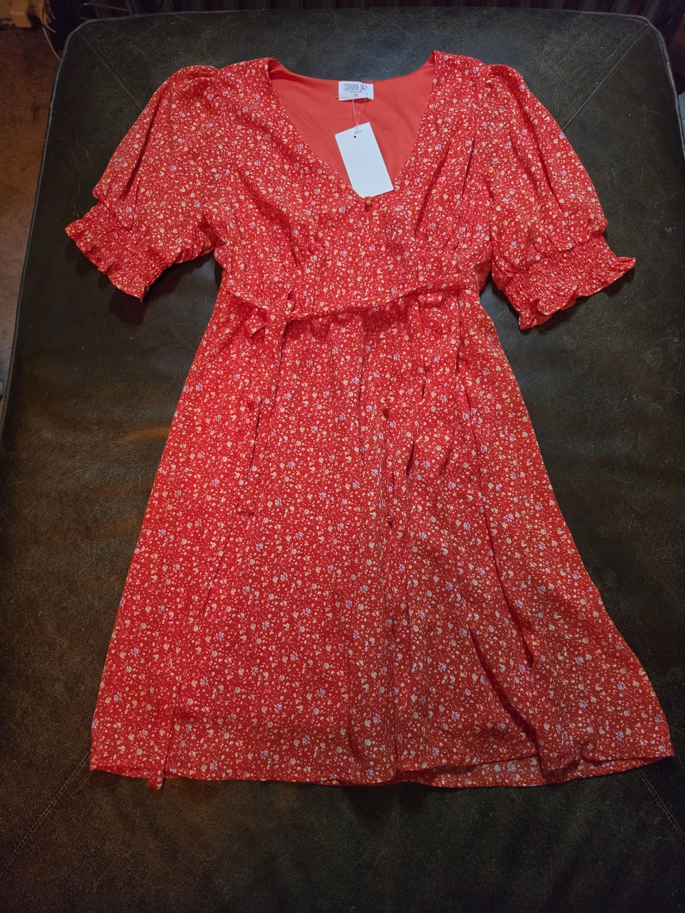 Sienna Sky Red Ditsy Floral V-Neck Mini Dress - Size M